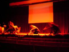 DSCF0304