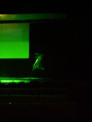 DSCF0305