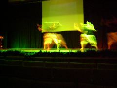 DSCF0330